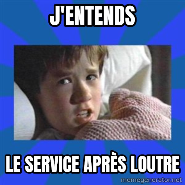 i see dead people meme: J'entends / le service après loutre