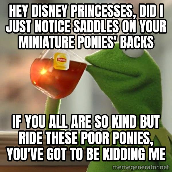 Kermit The Frog Drinking Tea meme: Hey Disney Princesses, did I just notice saddles on your miniature ponies' backs / if you all are so kind but ride these poor ponies, you've got to be kidding me