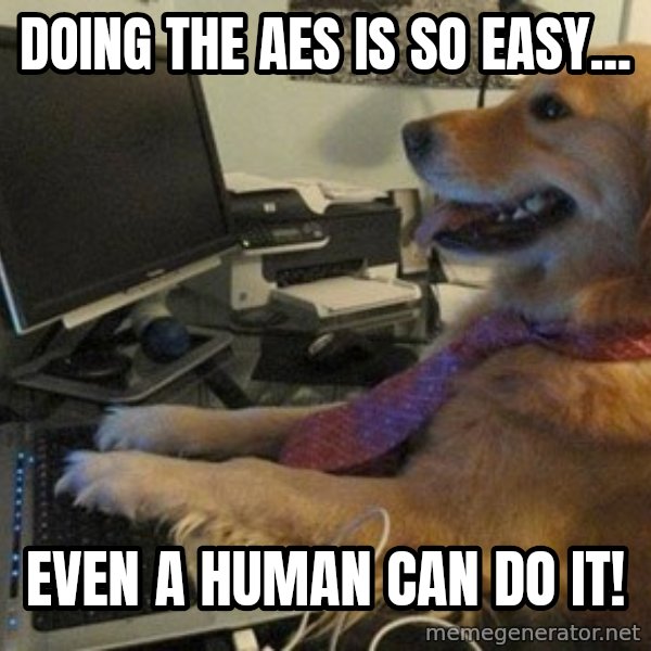 I have no idea what I'm doing - Dog with Tie meme: Doing the AES is so easy... / Even a human can do it!