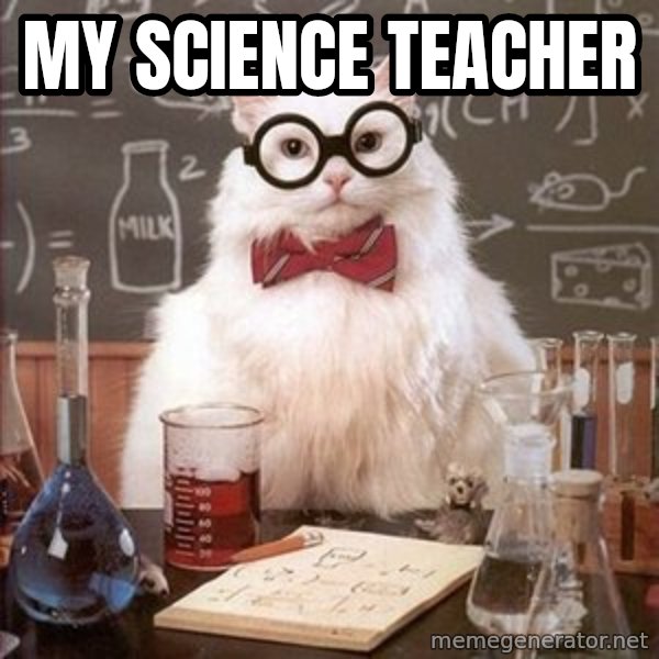 Chemistry Cat meme: my science teacher