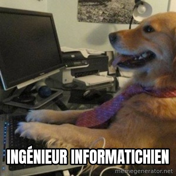 I have no idea what I'm doing - Dog with Tie meme: Ingénieur informatichien