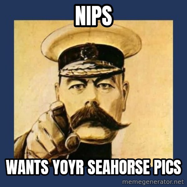 your country needs you meme: nips / wants yoyr seahorse pics