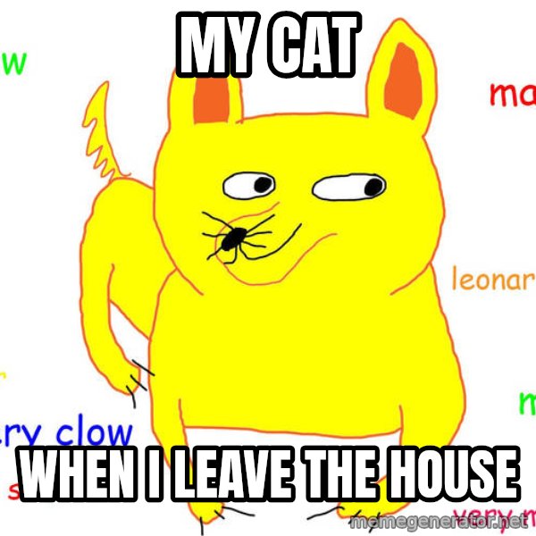 Grumpy Cat  meme: My cat / when i leave the house