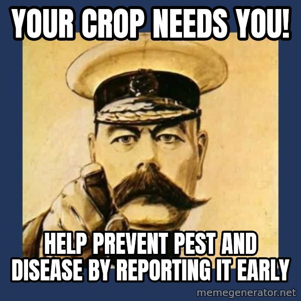your country needs you meme: your crop needs you! / help prevent pest and disease by reporting it early