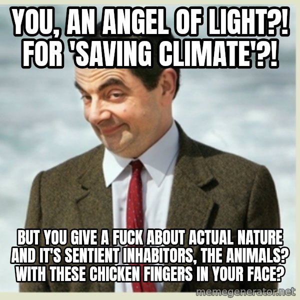 MR bean meme: You, an angel of light?!  For 'saving climate'?! / But you give a fuck about actual nature and it's sentient inhabitors, the animals? With these chicken fingers in your face?