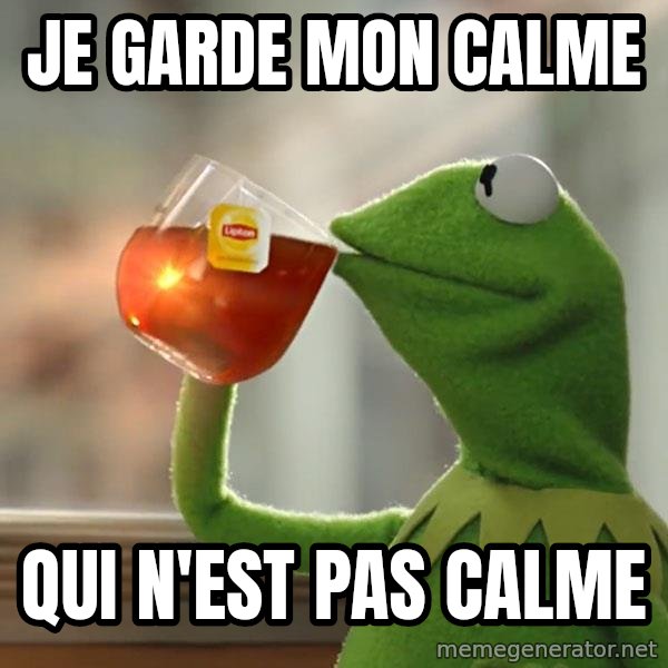 Kermit The Frog Drinking Tea meme: Je garde mon calme / Qui n'est pas calme