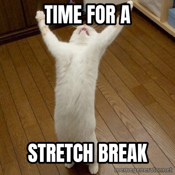praise the lord cat meme: TIME FOR A / STRETCH BREAK