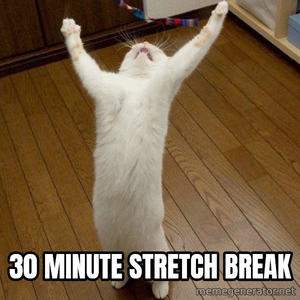 praise the lord cat meme: 30 MINUTE STRETCH BREAK