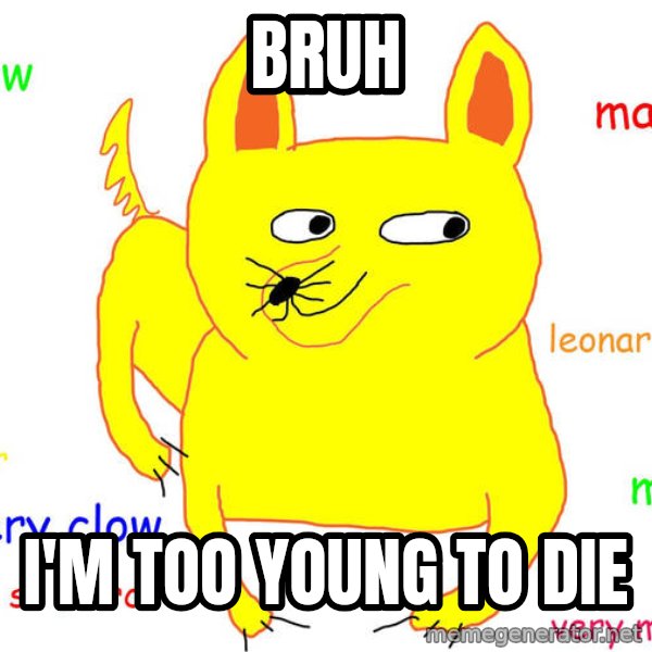 Grumpy Cat  meme: Bruh / I'm too young to die