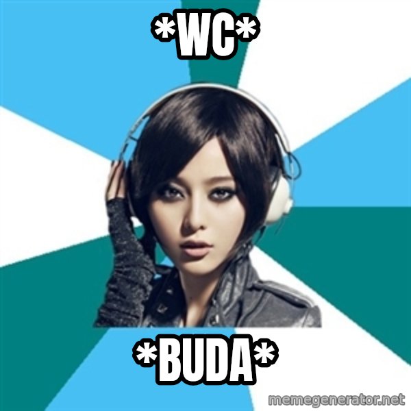 Crafty Interpreter meme: *WC* / *buda*