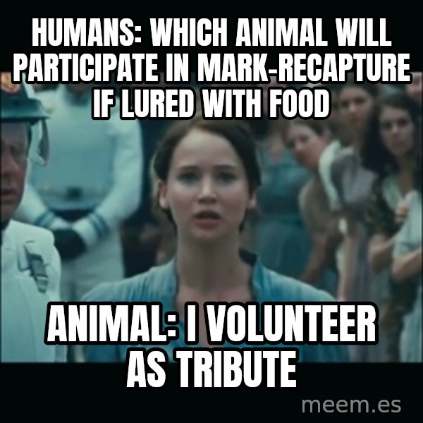 I volunteer as tribute Katniss meme: Humans: Which animal will participate in mark-recapture if lured with food / Animal: I volunteer as tribute
