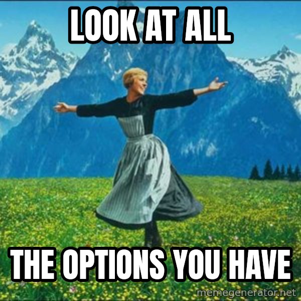 Look at all the things meme: Look at all / The options you have