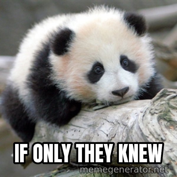 sad panda meme: if only they knew