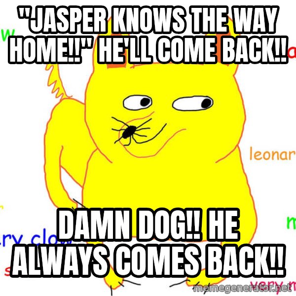 Grumpy Cat  meme: "Jasper knows the way home!!" He'll come back!! / Damn dog!! He always comes back!!