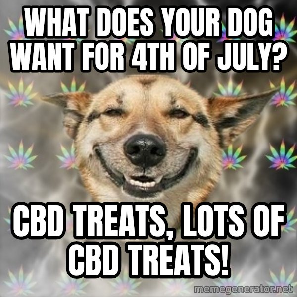 Stoner Dog meme: What does your dog want for 4th of July? / CBD Treats, Lots of CBD Treats!