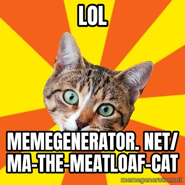 Bad Advice Cat meme: LOL / memegenerator. net/ ma-the-meatloaf-cat