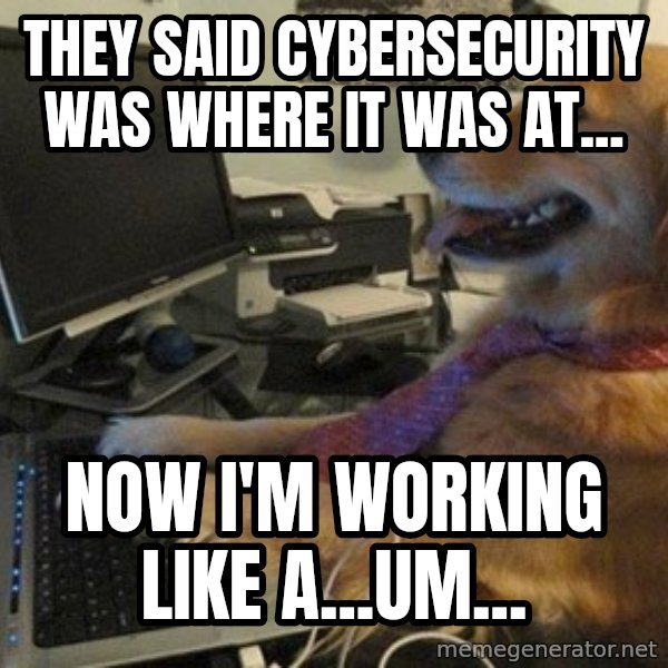 I have no idea what I'm doing - Dog with Tie meme: They said Cybersecurity was where it was at... / Now I'm working like a...um...