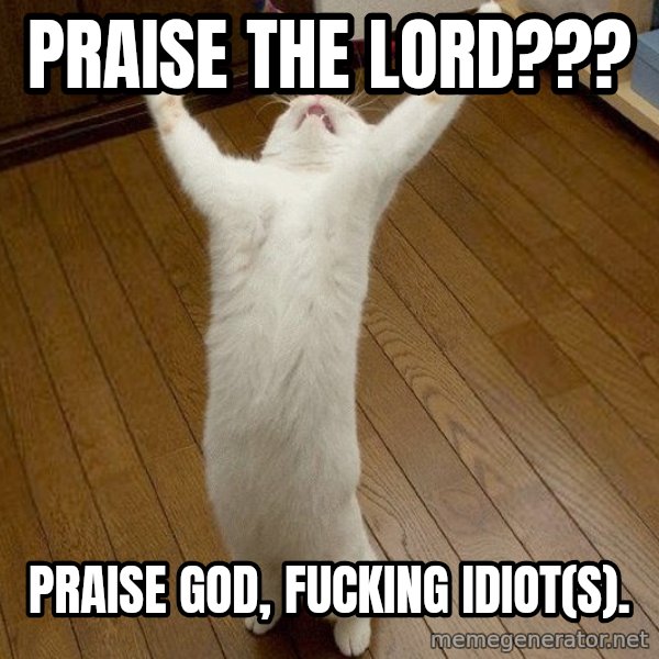 praise the lord cat meme: Praise the lord??? / Praise God, fucking idiot(s).