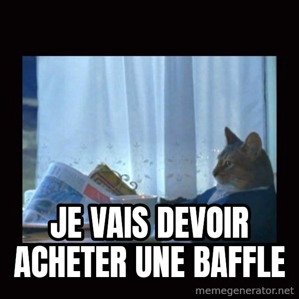 i should buy a boat cat meme: Je vais devoir acheter une baffle