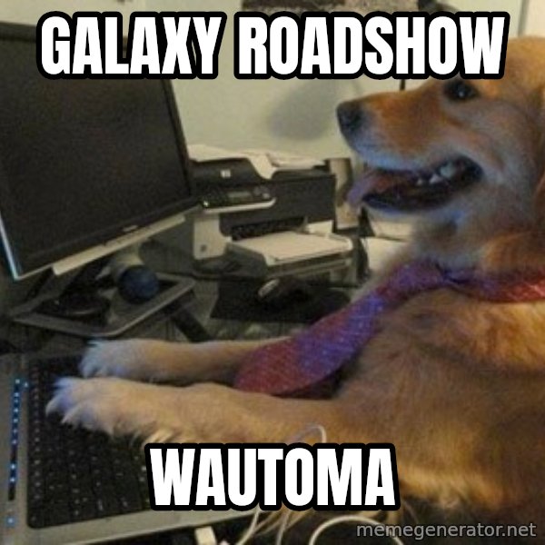 I have no idea what I'm doing - Dog with Tie meme: Galaxy Roadshow / Wautoma