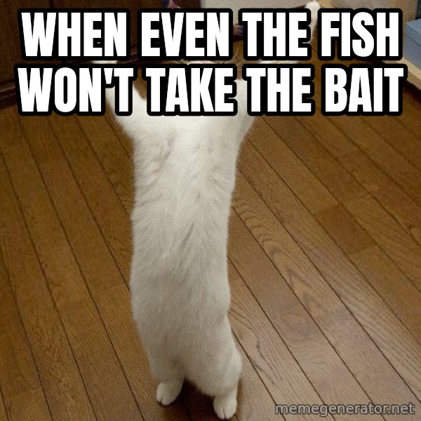 praise the lord cat meme: When even the fish won't take the bait