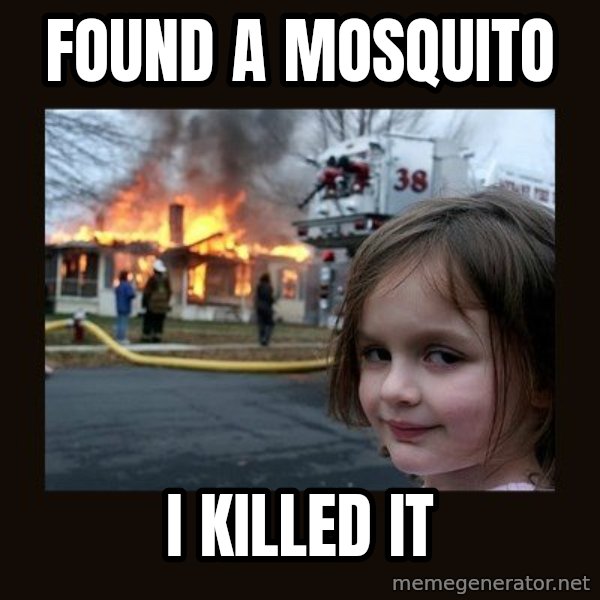 Disaster Girl meme: Found a mosquito / I killed it