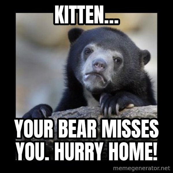 sad bear meme: Kitten… / Your bear misses you. Hurry home!