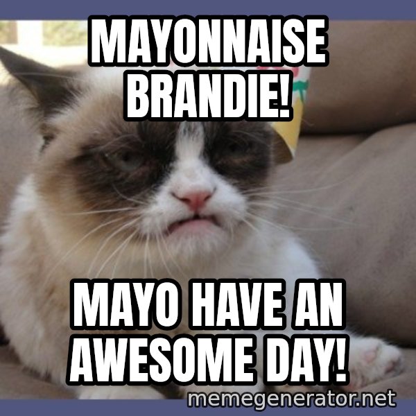 Birthday Grumpy Cat meme: Mayonnaise Brandie! / Mayo have an awesome day!