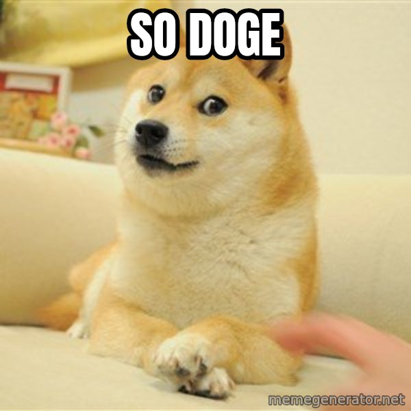 so doge meme: SO DOGE