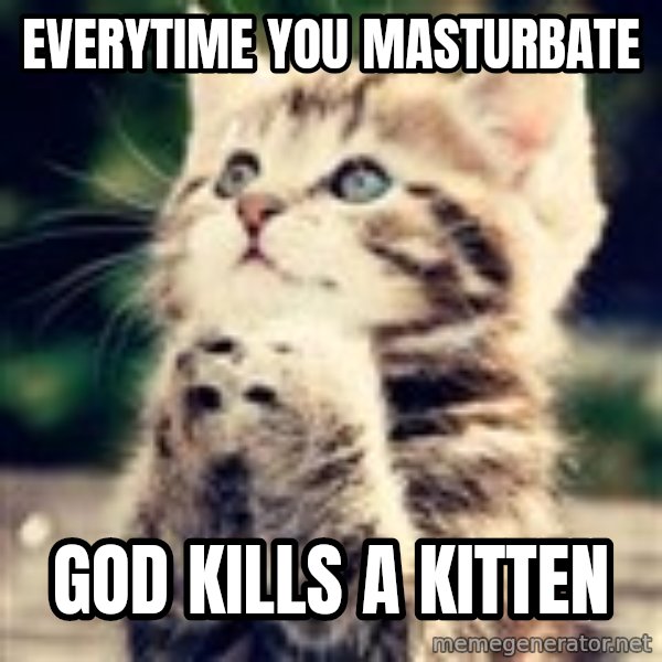 Praying Kitten meme: everytime you masturbate / god kills a kitten