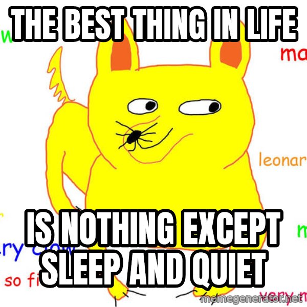 Grumpy Cat  meme: The best thing in life / Is nothing except sleep and quiet