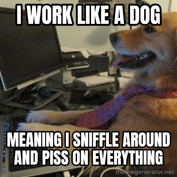 I have no idea what I'm doing - Dog with Tie meme: I work like a dog / meaning I sniffle around and piss on everything