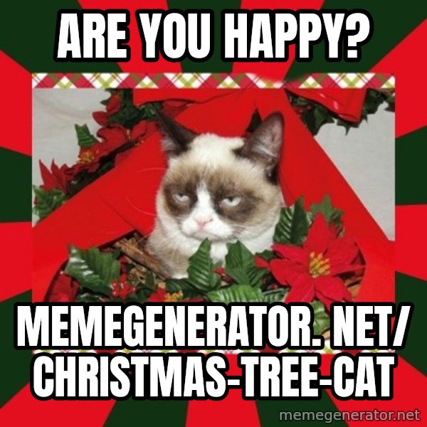 GRUMPY CAT ON CHRISTMAS meme: Are you happy? / memegenerator. net/ christmas-tree-cat