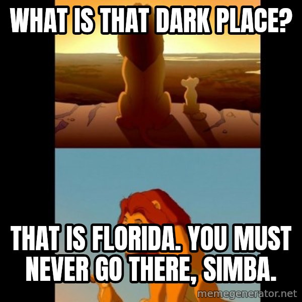 Lion King Shadowy Place meme: What is that dark place? / That is Florida.  You must never go there, Simba.