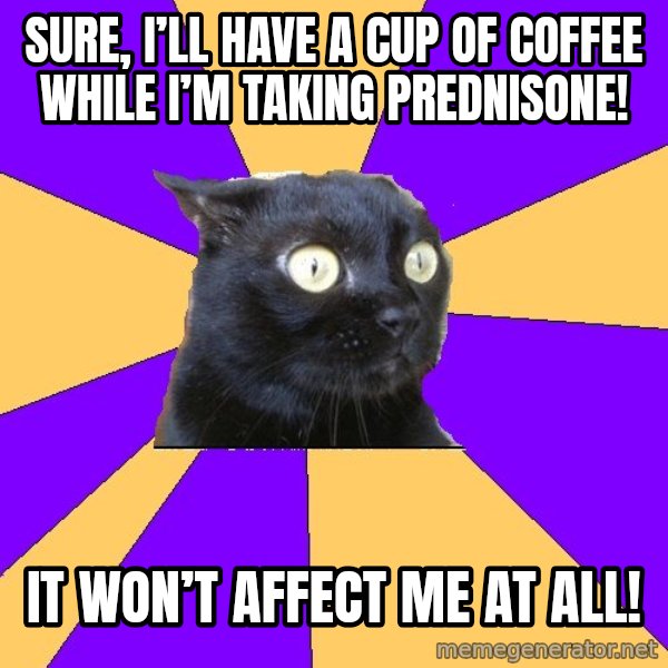 Anxiety Cat meme: Sure, I’ll have a cup of coffee while I’m taking prednisone! / It won’t affect me at all!