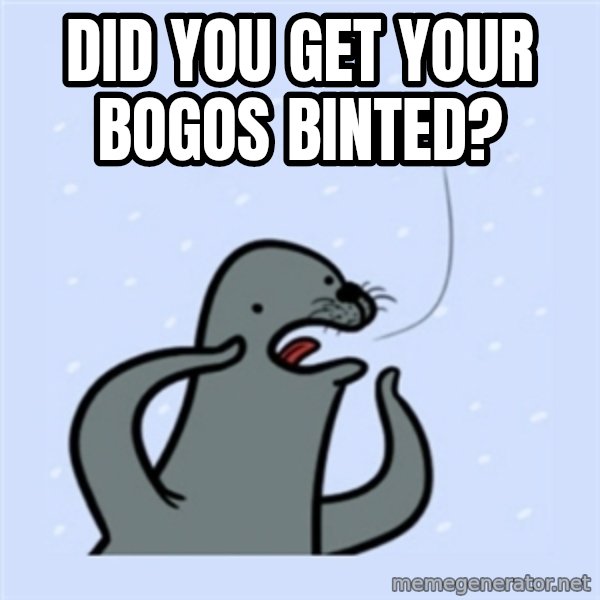 gay seal meme: did you get your bogos binted?