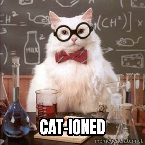 Chemistry Cat meme: cat-ioned