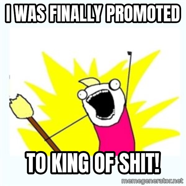 All the things meme: I was finally promoted / To king of SHIT!