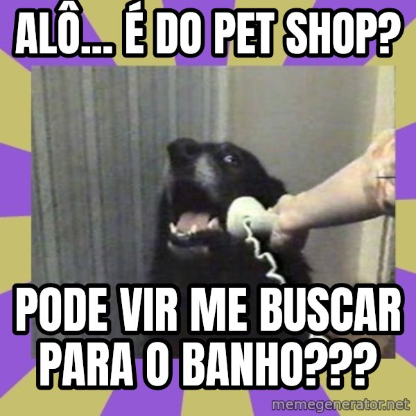 Yes, this is dog! meme: Alô... é  do Pet shop? / Pode vir me buscar para o banho???