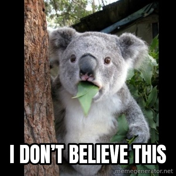 Koala can't believe it meme: I don’t believe this