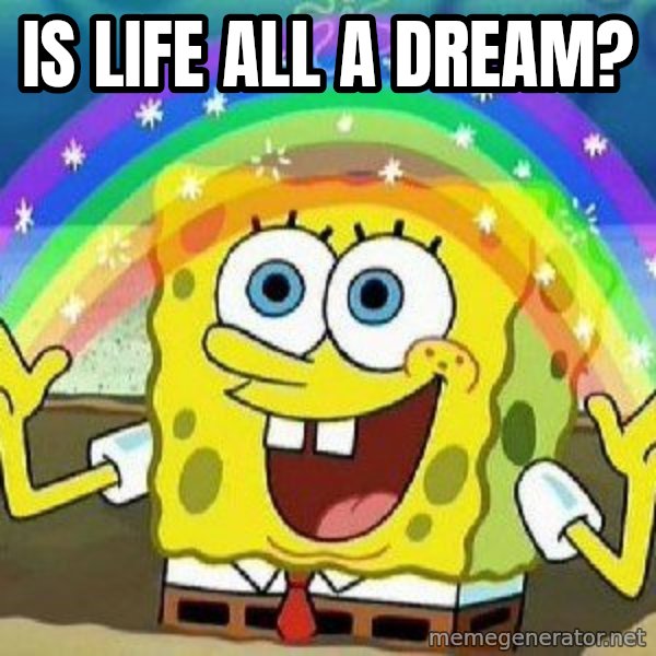 Imagination meme: Is life all a dream?