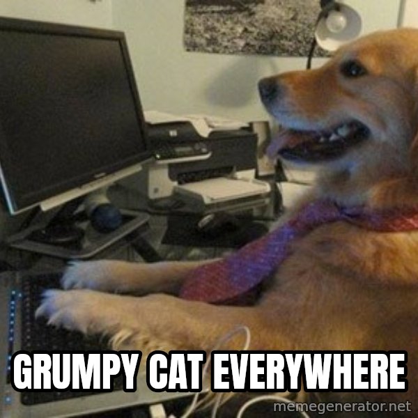 I have no idea what I'm doing - Dog with Tie meme: grumpy cat everywhere
