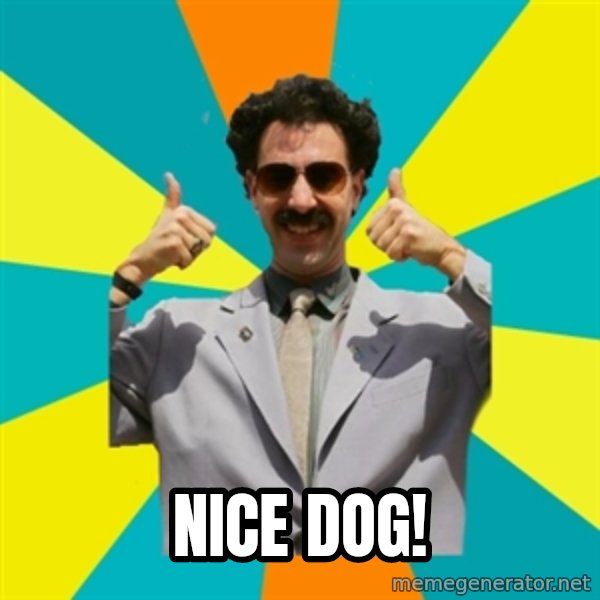 Borat Meme meme: Nice dog!