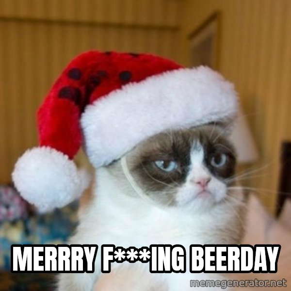 Grumpy Cat Santa Hat meme: Merrry f***ing beerday