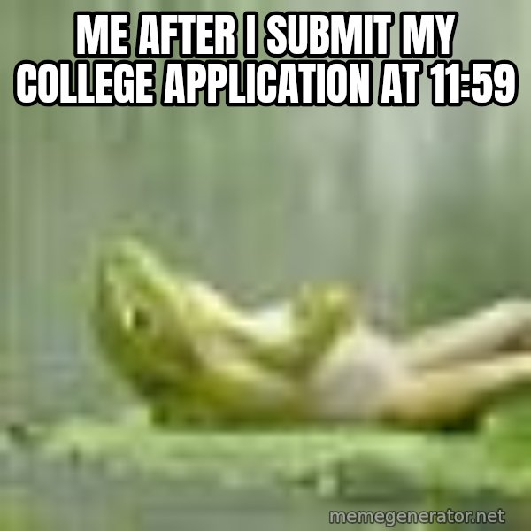 Frog Relaxing meme: ME AFTER I SUBMIT MY COLLEGE APPLICATION AT 11:59