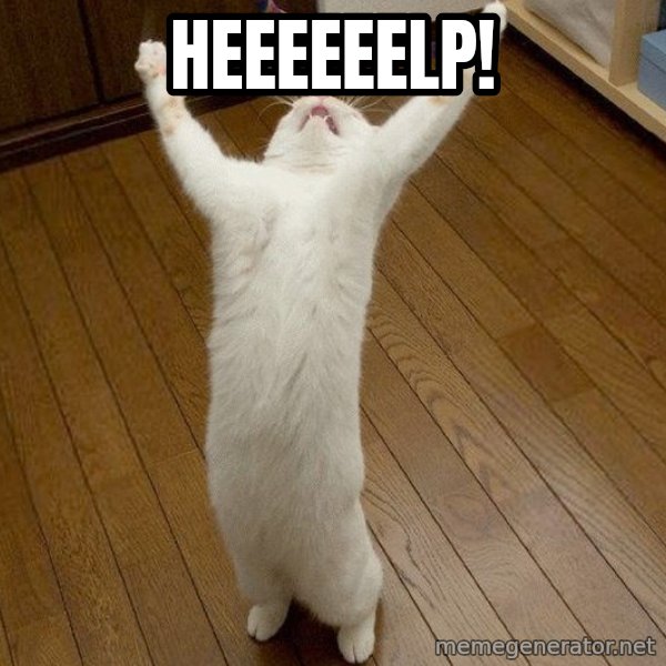 praise the lord cat meme: Heeeeeelp!