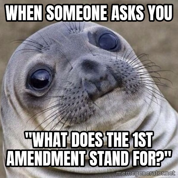 Awkward Seal meme: When someone asks you / "What does the 1st Amendment stand for?"