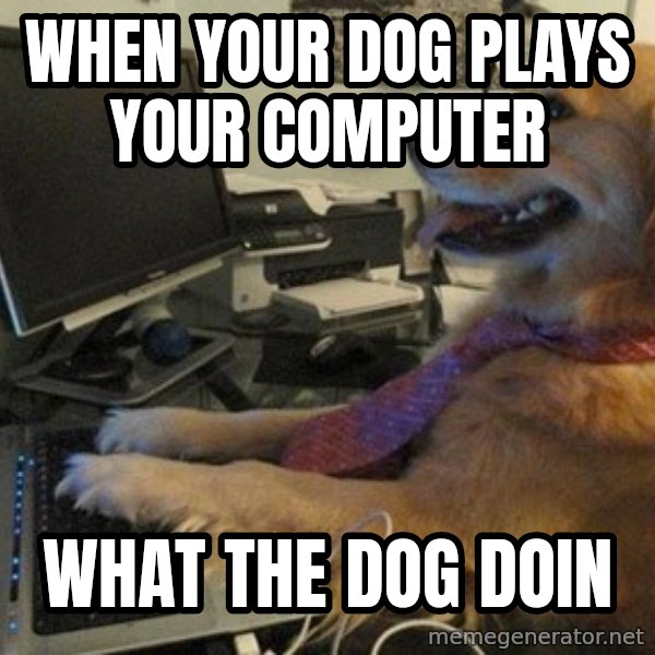 I have no idea what I'm doing - Dog with Tie meme: When your dog plays your computer / What the dog doin