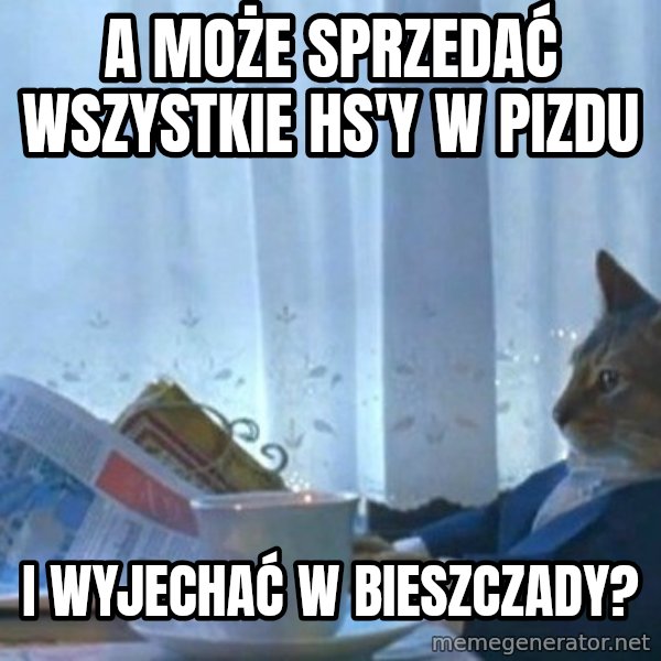 newspaper cat realization meme: A może sprzedać wszystkie HS'y w pizdu / i wyjechać w Bieszczady?