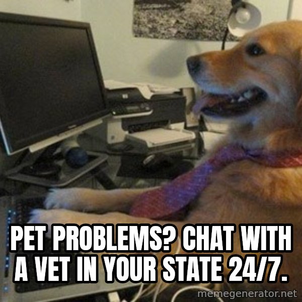 I have no idea what I'm doing - Dog with Tie meme: Pet Problems? Chat with a vet in your state 24/7.